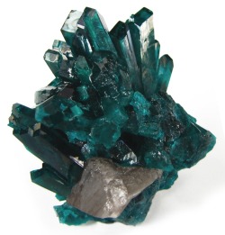 fuckyeahmineralogy:  Dioptase and cerussite;