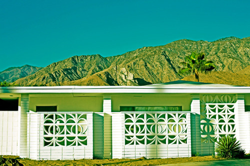 midcenturymodernfreak:  “Life in Lemon Yellow” | Artist: Jen Zahigian | Palm Springs, CA You can get her prints here Via 