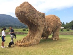 sixpenceee:  Japanese Straw CreaturesIt’s September. In Japan that means rice is being harvested across the country. It also means straw art.After the grains are harvested, rice straw (“wara” in Japanese) is left behind. In Niigata Prefecture, however,