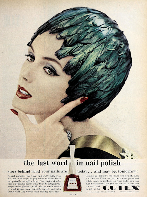 Photoplay, November 1958