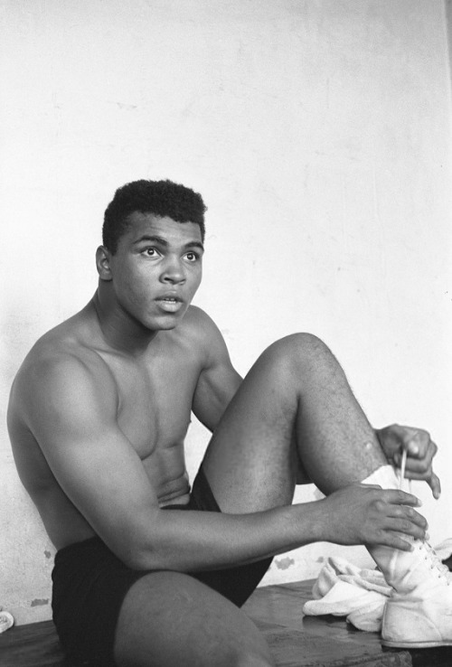 twixnmix:  Muhammad Ali training at the Main Street Gym in Los Angeles for his bout against Archie Moore, 1962.Photos by Stanley Weston