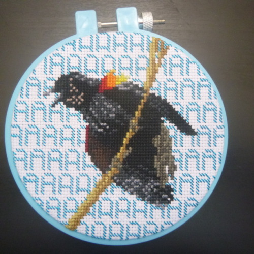 parvumautomaton: Ever need to just scream into the void?Cross stitched red winged blackbird does.(An