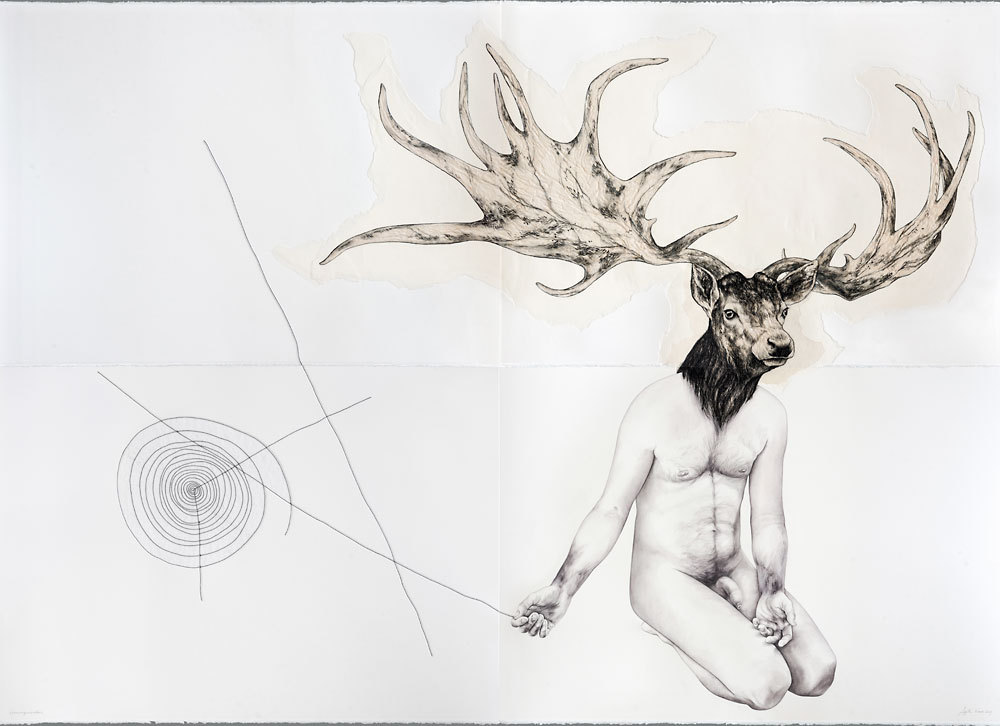 Illustrations by Agata Kawa