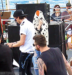 istillloveparamore:  Person: What’s so special about Parahoy?Me: