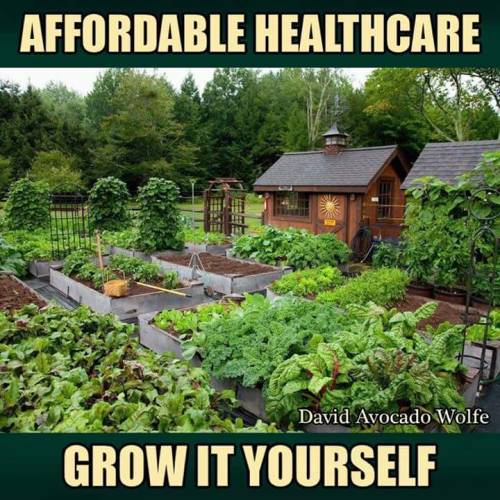 plantyhamchuk:Instead of shaming people with a picture of An Unattainable Garden Of The Wealthy Land