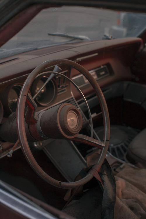 caseybennettphotography:  Thunderbird