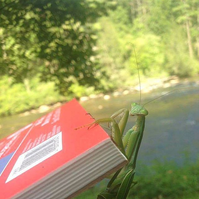 margary:  Whatcha drawin? (at Blue Ridge Mountains, Georgia) 
