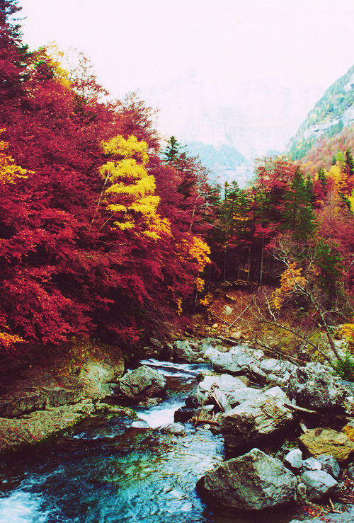 halloweenmagick:  Magical. 