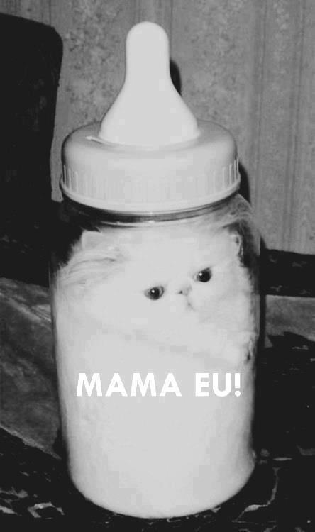 revelacoesdeumameninasonhadora.tumblr.com/post/44244264625/