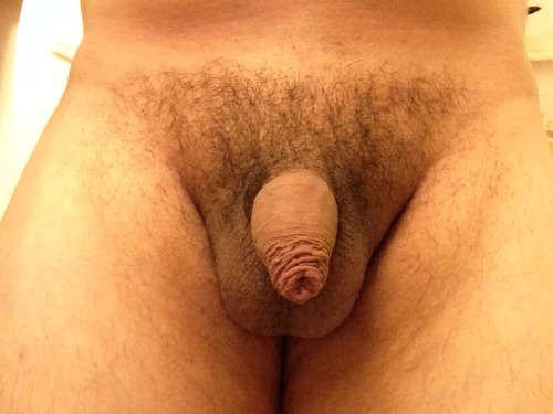 mysmallmexicandick:  Nice dick. Hope to see a profile view. keep them cumming.