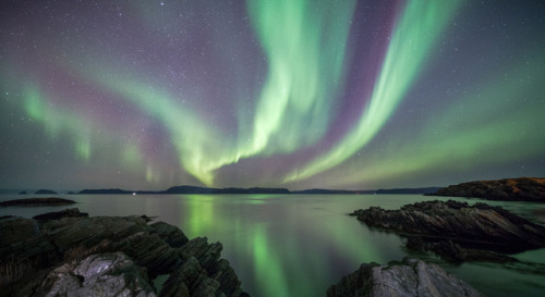 tiinatormanenphotography: Aurora night under arctic sky.  Oct 2017, Måsøy, Norther