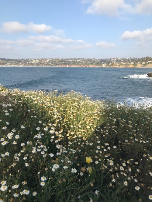 michelangeloo: spaceycurls: golden day