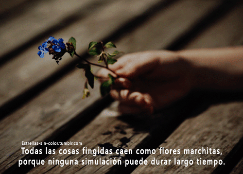 tumblr_ovt9rxthfd1vric4fo1_500.gif