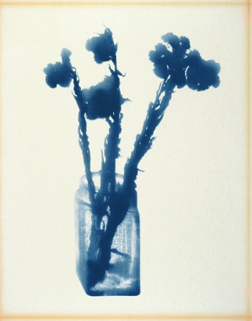 LE SILENCE Une fiction gathers a corpus of contemporary works by 25 artists, ranging from Arman’s Ac