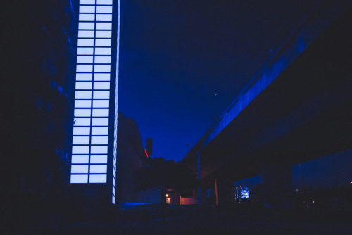 iylshowcase: IYL Published Artist - Elsa Bleda // Velvet EyesSouth African based Elsa was recently f