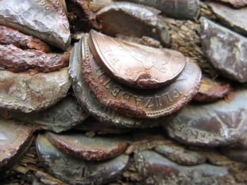 odditiesoflife:Mysterious Coin-Covered Wishing TreesThe strange phenomenon of gnarled old trees with