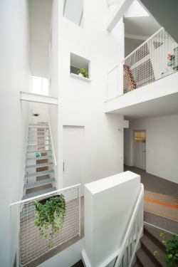 ho-bae:Apartment in Amsterdam / MAMM Design	(Akira Mada, Maya Mada)