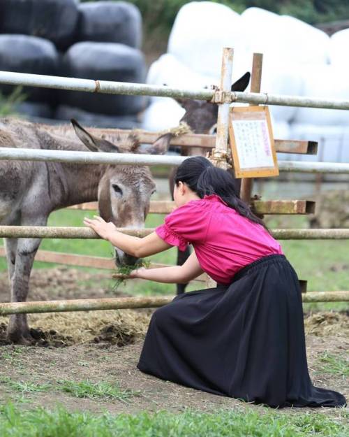 可愛いポニー むしゃむしゃ葉っぱを食べる姿がとっても可愛くてみとれちゃう ・ #カメラ #camera #キヤノン #CANON #写真モデル #撮影モデル #カメラモデル #ポートレート #女の子 