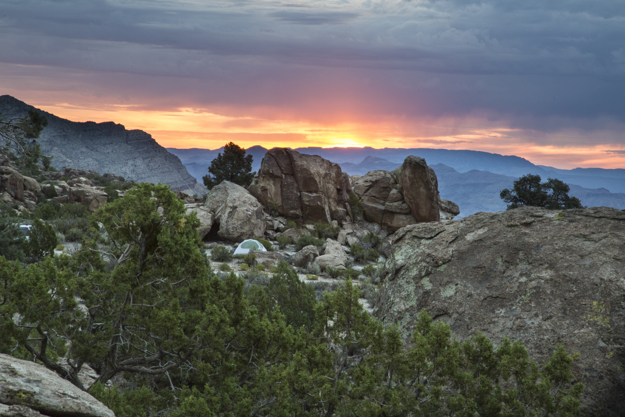 mypubliclands:  #mypubliclandsroadtrip Recap Continues with BLM Nevada! From striking