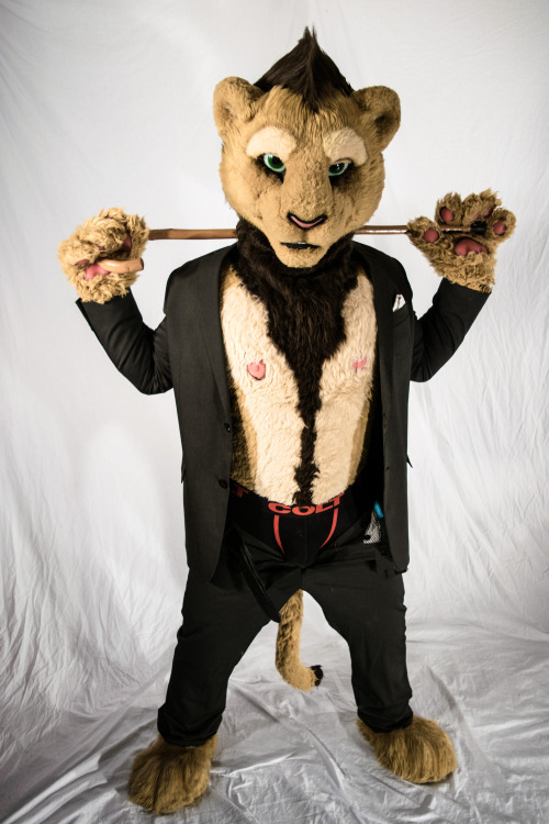 liondogari:Business lion has a proposition for you….