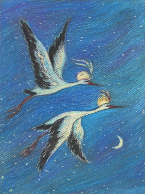 Caliph Stork (Pastel) 2019