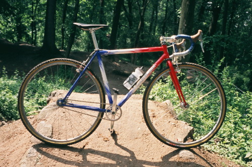 photosbywilis:  My SS Land Shark CX