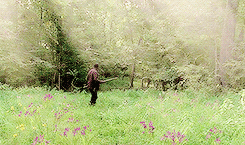 r-grimes:  the walking dead season six: (6x04) here’s not here   What we’ve done,