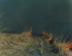 phasesmag: Rinko Kawauchihttp://www.rinkokawauchi.com/