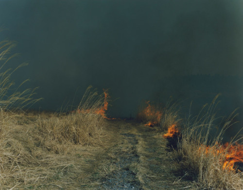 phasesmag: Rinko Kawauchiwww.rinkokawauchi.com/