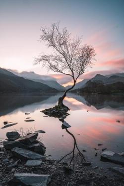 amazinglybeautifulphotography:Sunrise over Llyn Padarn, Snowdonia [OC] [4018x6027] - pjelllz