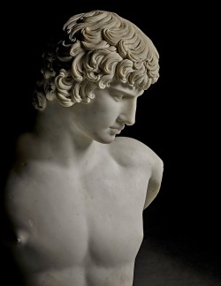 hadrian6:  Bust of Antinous. 18th.century.