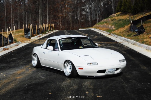 fuckyeahhellaflush:   