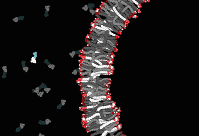 infinity-imagined:  A hypothesized mechanism for the origin of life, an event called