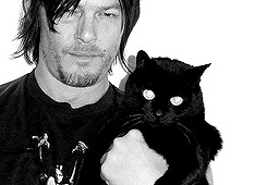 nonormynolife:  [x] 