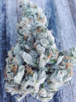 bluntburningprincess:  My fav, Northern lights.