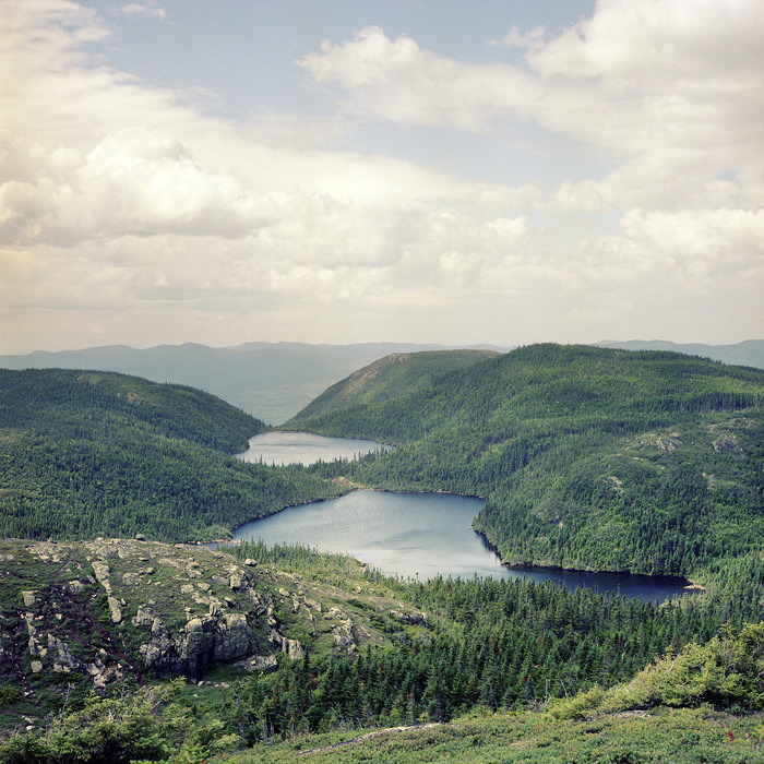 randomstrings:  (by demilliac) 