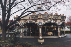 love:    The century carousel in Colmar, France (via vsco.co)  