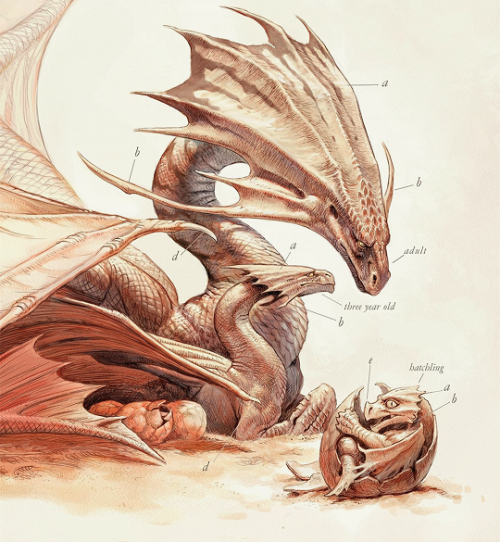 pandoraas:Natural History of Dragons Series by Marie BrennanArt by Todd Lockwood