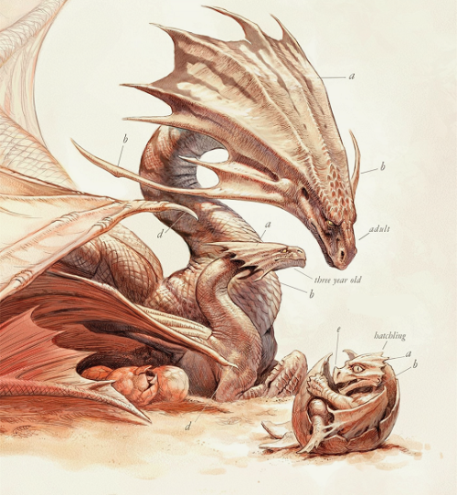 madnessmadness: pandoraas: Natural History of Dragons Series by Marie Brennan Art by Todd Lockwood T