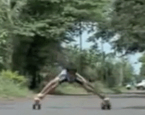 the-absolute-best-gifs: don’t let tumblr make you believe that