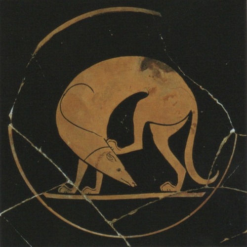 thoodleoo:some ancient depictions of dogs, aka the most important ancient art that survives1. Attic 
