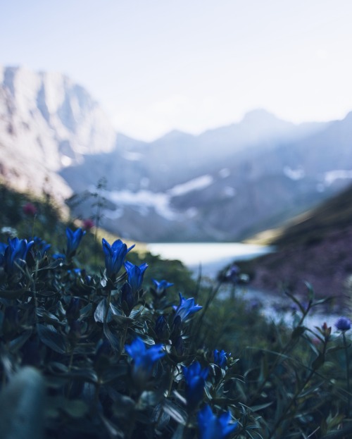 glacier national park- beyond your wildest dreams.