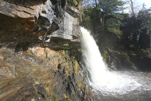 geologicaltravels:2013: Ordivician-Carbonifierous angular unconformity exposed at Ingleton Falls on 