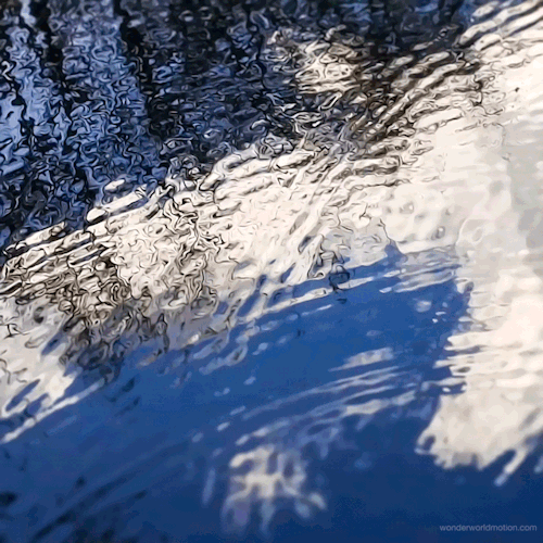 4b6569819f34d5faee377ad3cfa3b01e9cf05153.gifv