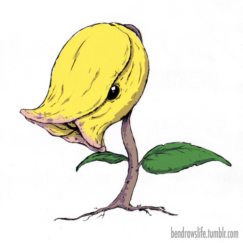 Bellsprout, Wiki Pokédex