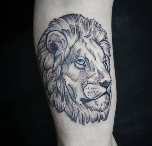 Leão par do urso polar#tattoo #Blacktattoo #lion #ricardoalmei #joinville (em Quimera Tattoo)