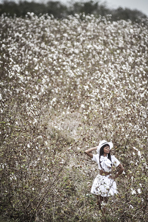 Cotton Fields Spread For Gigi