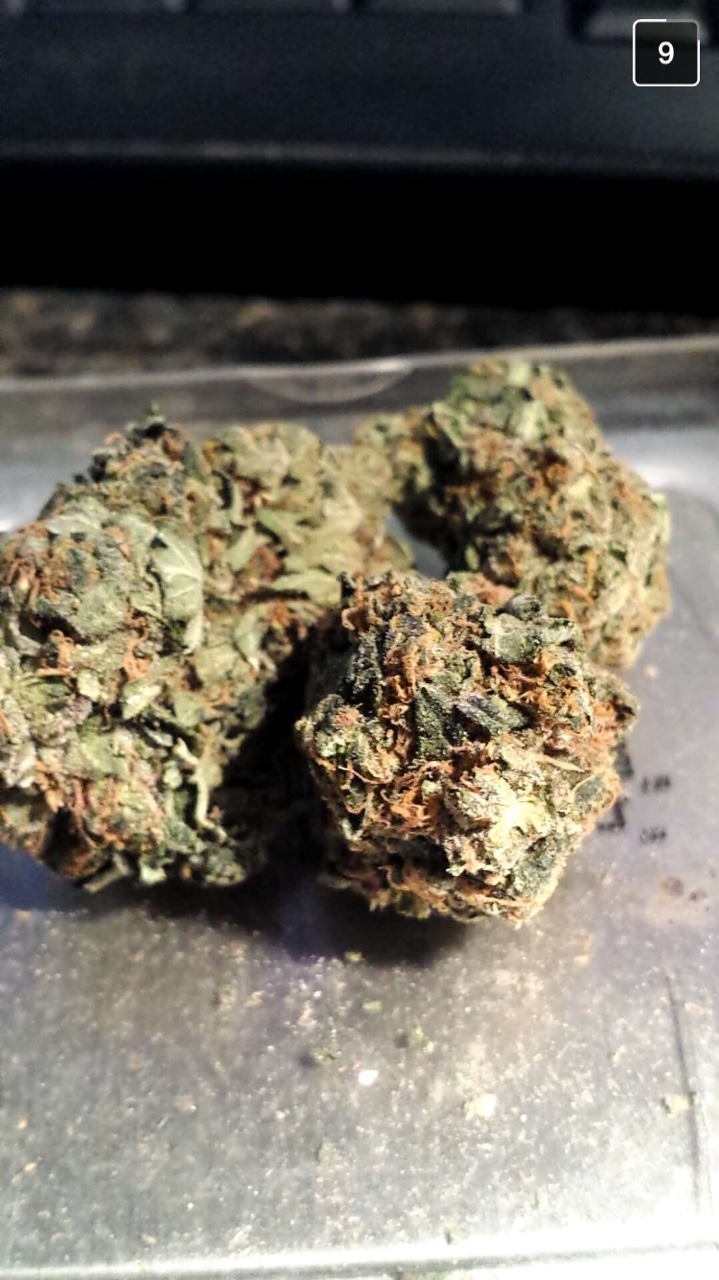 mrs-420:  Always wonderful snaps from m0nster9