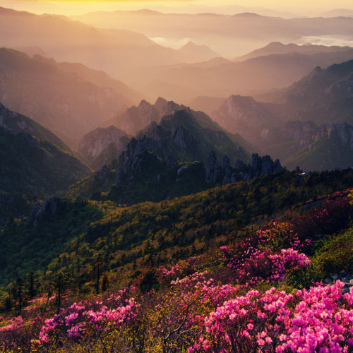 fuckyeahjapanandkorea:  Seoraksan National Park (by oasisframe)