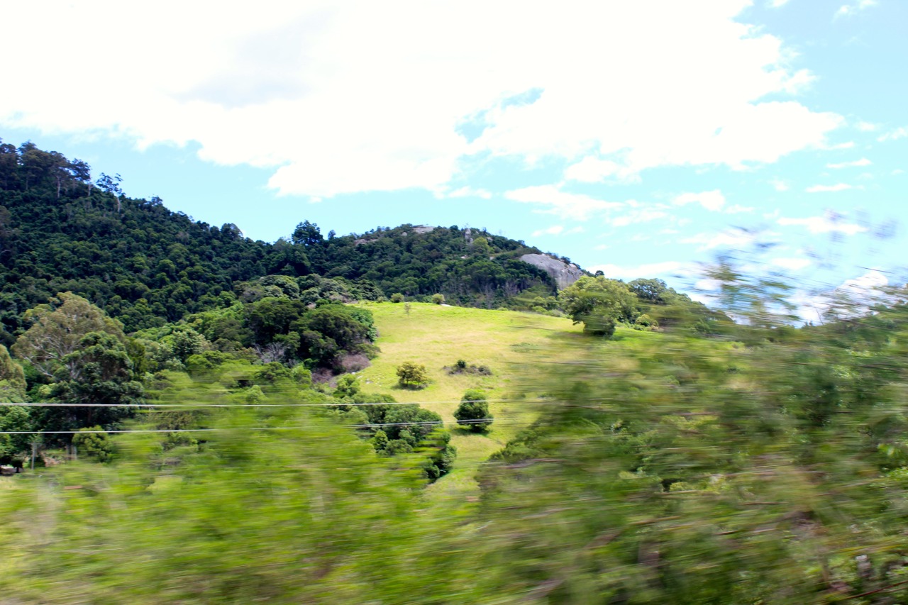 bellas-daydream:  Tilba from the car